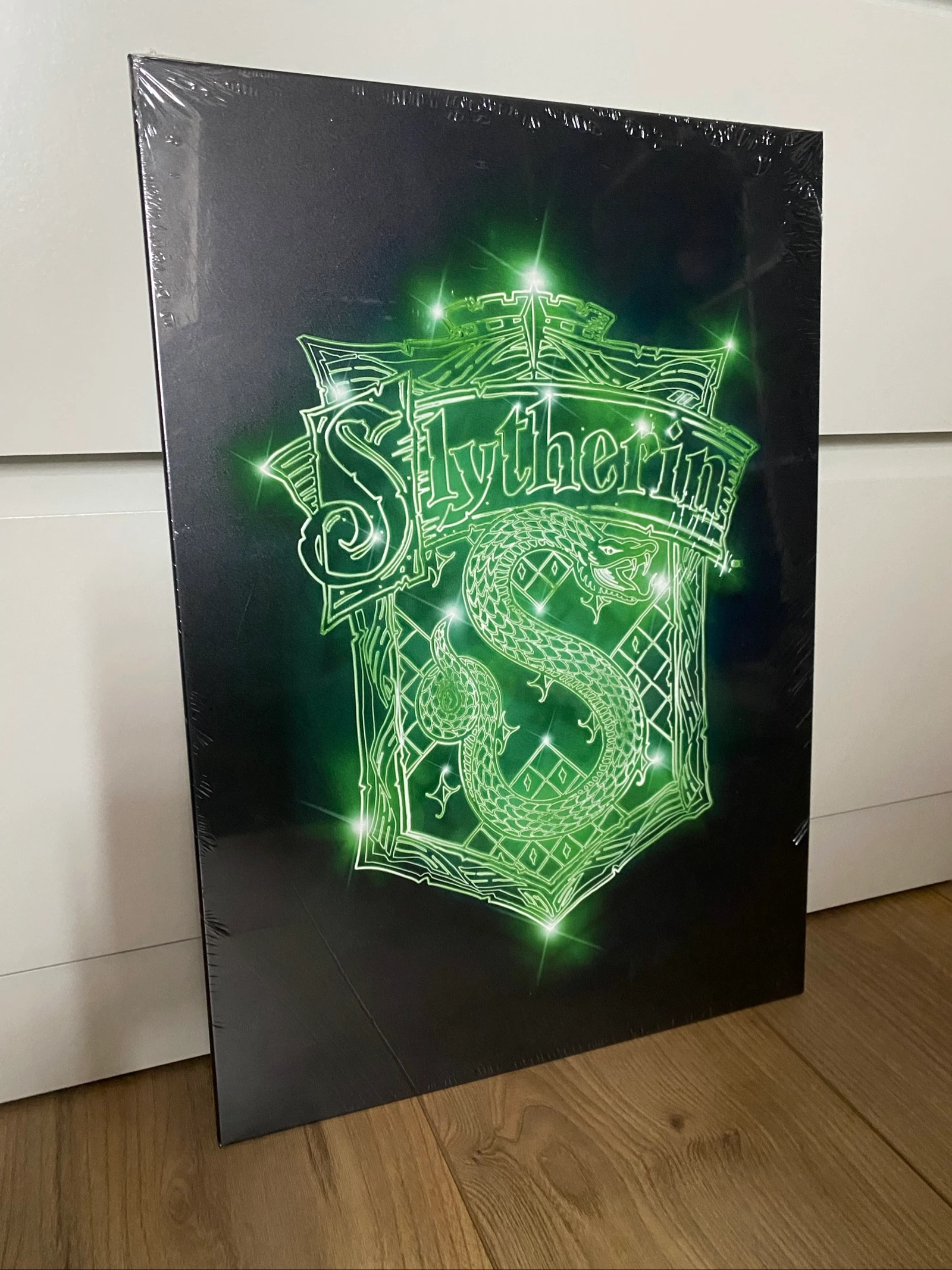 Displate officiel Harry Potter Serpentard métal 45 × 32 neuf – photo 4